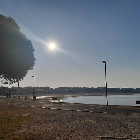 Le 322 Entre Lac Et Ocean Vieux-Boucau-les-Bains Exteriér fotografie