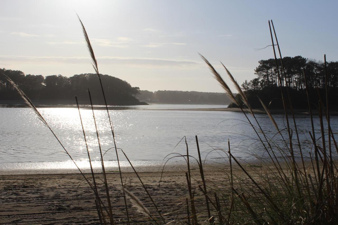Le 322 Entre Lac Et Ocean Vieux-Boucau-les-Bains Exteriér fotografie