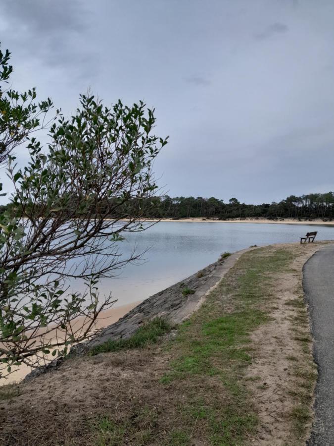 Le 322 Entre Lac Et Ocean Vieux-Boucau-les-Bains Exteriér fotografie
